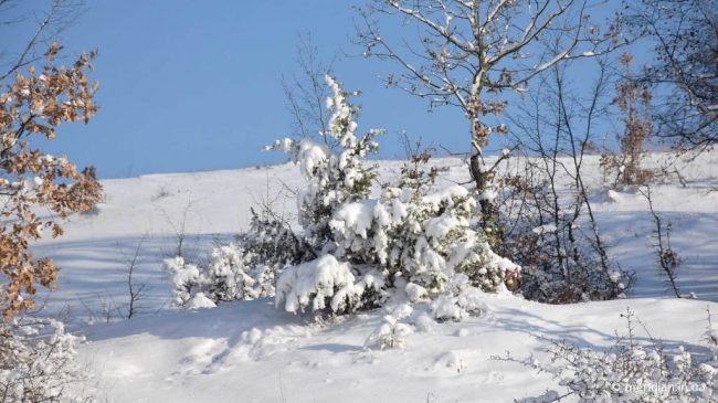 Морозы и снегопад ожидаются в Крыму на следующей неделе
