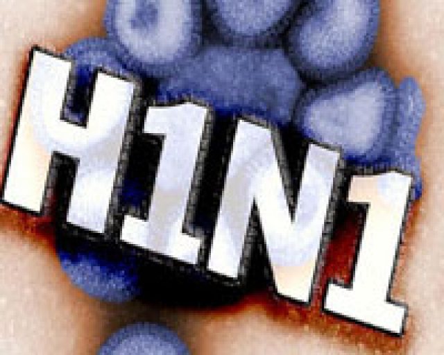 «Свиной грипп» в Севастополе и Крыму подтверждён у 53 человек