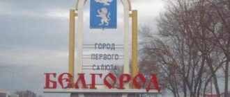 Була перша фаза: бійці РДК та "Свободи Росії" заявили про продовження операції під Бєлгородом