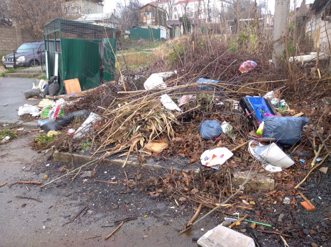 На Северной стороне Севастополя не вывозят мусор (фото)
