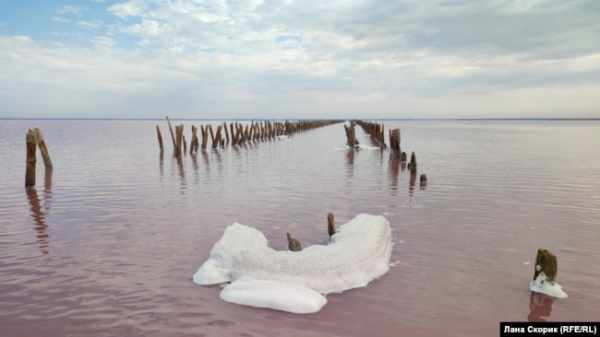 Рожеве озеро Сасик-Сиваш, Крим, липень 2022 року
