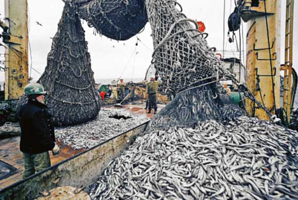 Крымским рыбакам не дают выйти в море