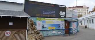 Руководство севастопольского дельфинария намерено продолжать представления в Артбухте