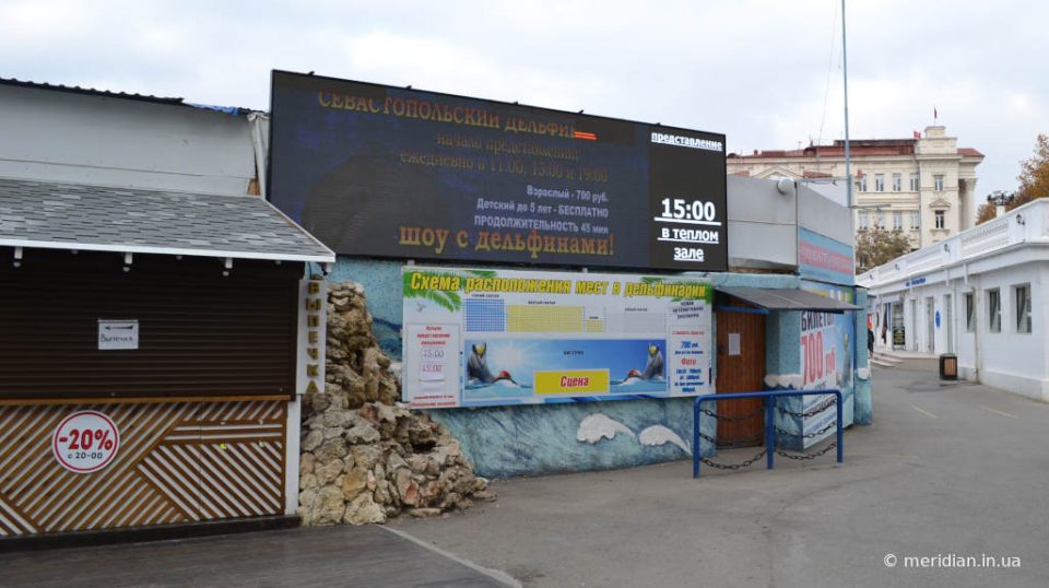 Руководство севастопольского дельфинария намерено продолжать представления в Артбухте