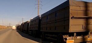 З порту Феодосії окупанти вивозять награбоване українське зерно вантажівками