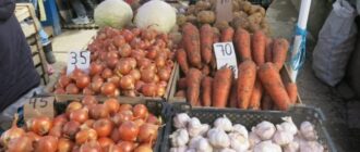 «Фермеров предупредили, что отрежут головы». Откуда в Крыму берутся дешевые херсонские овощи