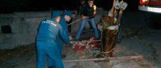 В Крыму спасли упавшую в реку лошадь