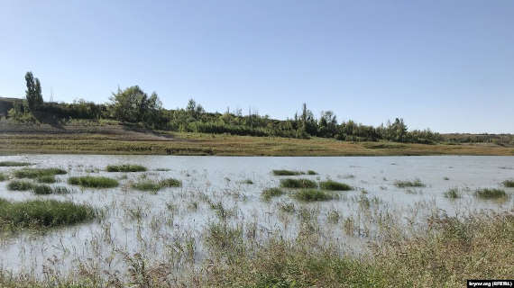 Обмелевшее Белогорское водохранилище в Крыму начало заболачиваться (фото)
