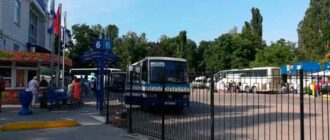 К «бацьке» в гости на автобусе: из Севастополя запускают рейсы в Минск