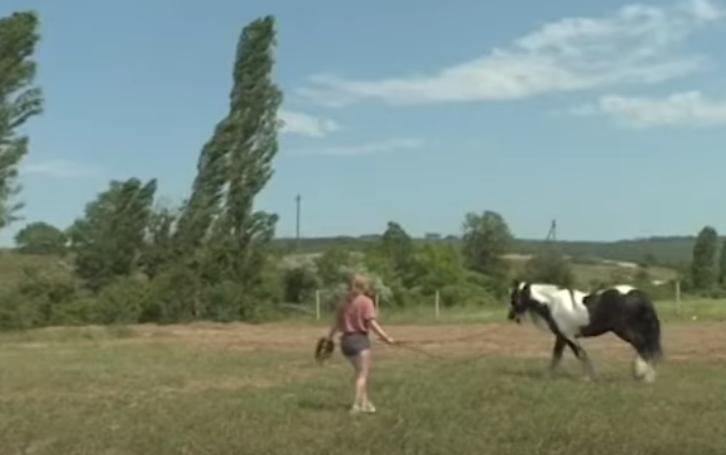 Ветеринар из Сибири организовала под Севастополем благотворительное ранчо для животных (видео)