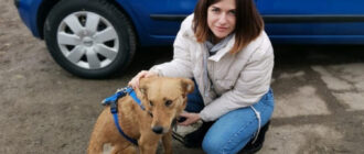 «Тащили за машиной, лужа крови»: в Крыму приютили изувеченную живодерами собаку (видео)