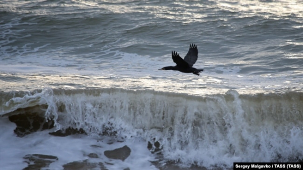 Ілюстраційне фото