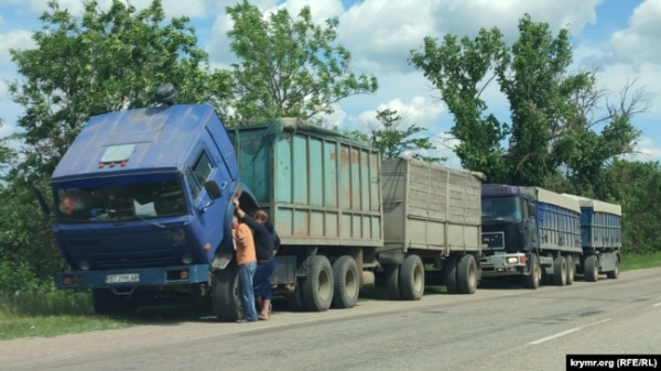 Вантажівки із зерном з окупованої РФ материкової України. Крим, 8 червня 2022 року