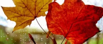 Прогноз погоди на Бущині 8 грудня