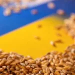 Україна цьогоріч експортувала понад 20 мільйонів тонн зернових та зернобобових культур