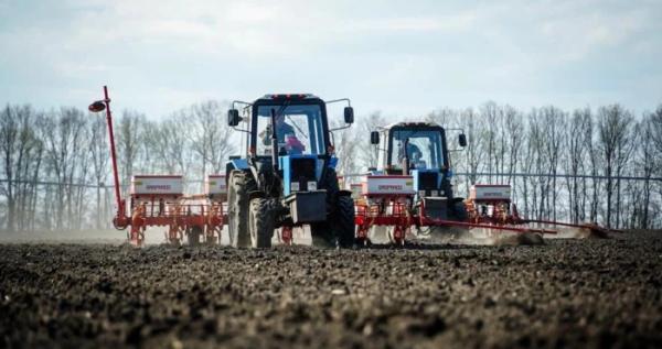 Закарпатські аграрії засіяли озимими майже 26 тисяч гектарів землі