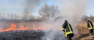 На Рівненщині впродовж доби рятувальники ліквідували 11 пожеж площею понад 14 гектарів