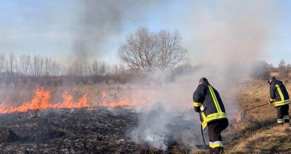 Масові пожежі на Рівненщині