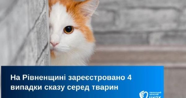 На Рівненщині з початку року зафіксували чотири випадки сказу серед тварин