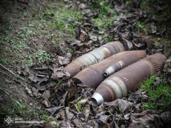 У Миколаївській області піротехніки вилучили та знищили боєприпаси3