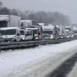 Українським перевізникам відкрили доступ до сервісу міжнародних маршрутів: що варто знати