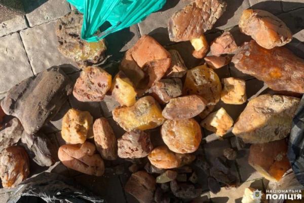 Жителя Клеваня судитимуть за зберігання понад 100 кілограмів бурштину4