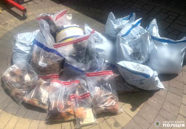 Жителя Клеваня судитимуть за зберігання понад 100 кілограмів бурштину3