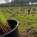 На Львівщині лісництво перевиконало план збільшення лісозаготівлі