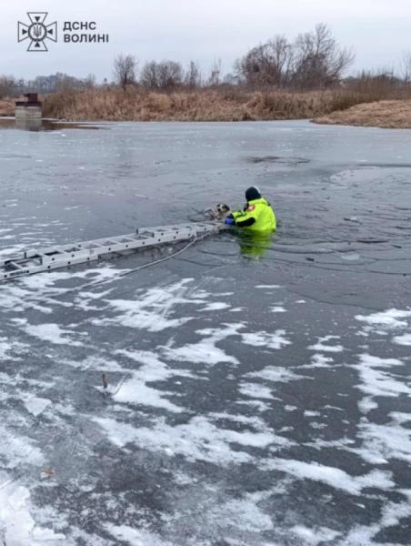 У Ковелі із замерзлої річки дістали ще одну собаку2