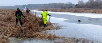 У Ковелі з холодної річки врятували собаку