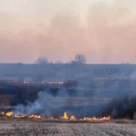 У Луцькому районі горить поле