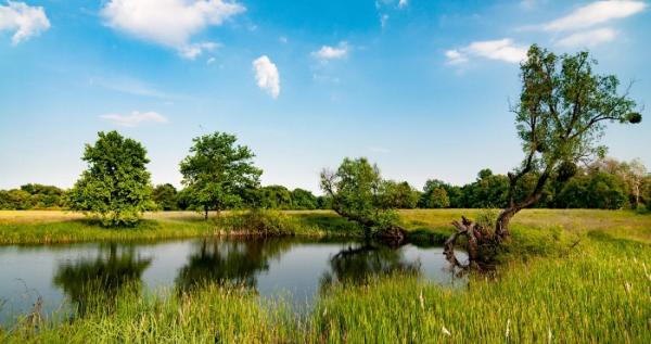 Державі повернули земельну ділянку водного фонду на Турійщині / Фото ілюстративне