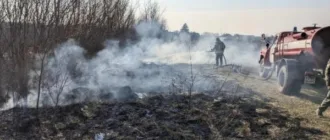 Сімох жителів Шацької громади оштрафують за паління сухої трави