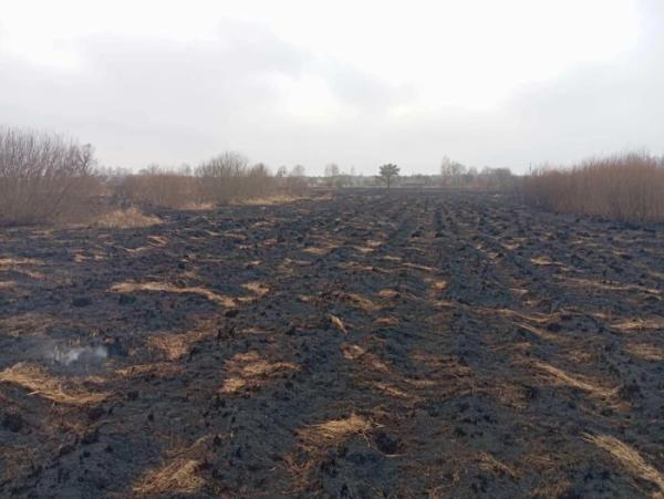 Сімох жителів Шацької громади оштрафують за паління сухої трави2