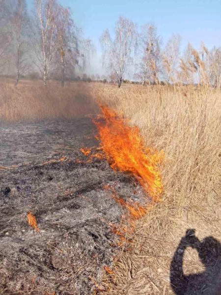 Сімох жителів Шацької громади оштрафують за паління сухої трави9