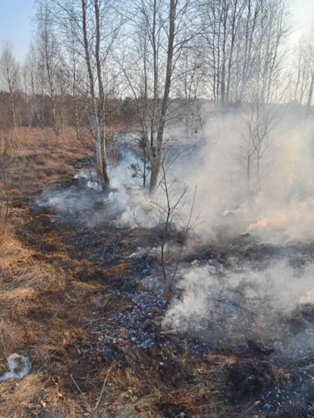 Сімох жителів Шацької громади оштрафують за паління сухої трави8