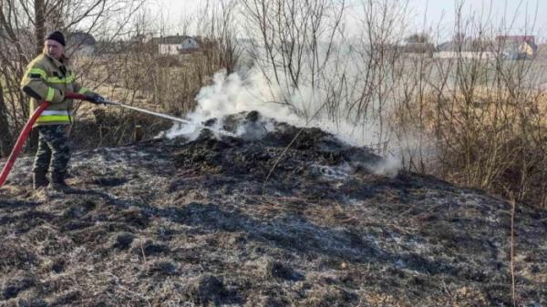 Сімох жителів Шацької громади оштрафують за паління сухої трави6