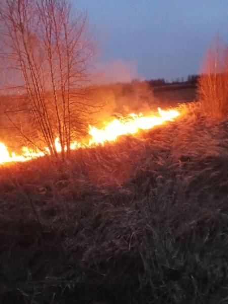 Сімох жителів Шацької громади оштрафують за паління сухої трави3