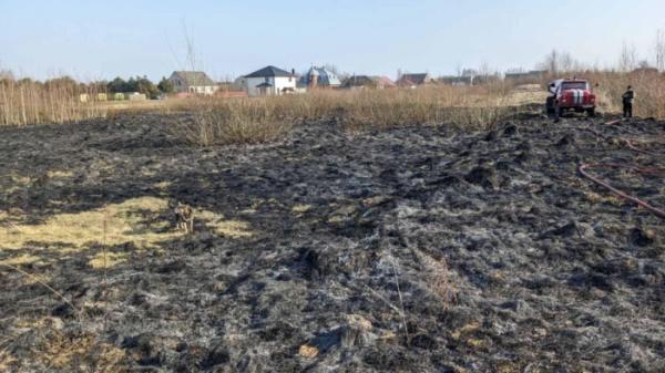 Сімох жителів Шацької громади оштрафують за паління сухої трави5