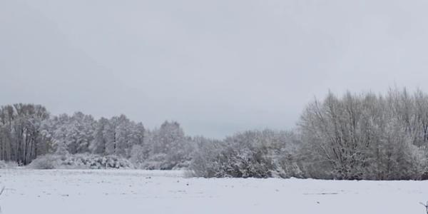 Старовижівщину засипало снігом1