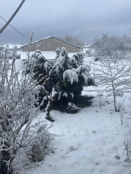 Старовижівщину засипало снігом4