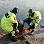 У Костополі з річки дістали тіло чоловіка: поліція встановлює обставини