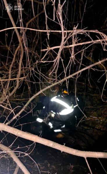 У Луцьку врятували чоловіків, які застрягли у болоті3