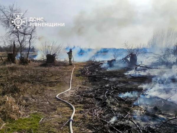 Згоріли п'ять будівель і десятки гектарів екосистеми: у Вараському районі зафіксували вже понад 60 пожеж сухостою7