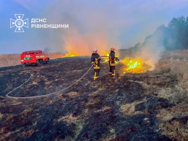 Згоріли п'ять будівель і десятки гектарів екосистеми: у Вараському районі зафіксували вже понад 60 пожеж сухостою5