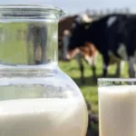 Молоко на українських ринках продаватимуть за новими правилами