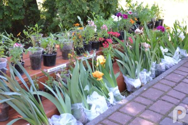 60 тисяч гривень для ЗСУ: учні Спецшколи у Великих Межирічах провели родинне свято та благодійний ярмарок77