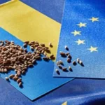 Без «торгового безвізу»: ЄС затвердив перехідні правила торгівлі з Україною