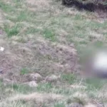 Біля кордону з Румунією виявили тіло людини