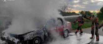 Горіхівські рятувальники ліквідували пожежу в легковику в Мар’янівці